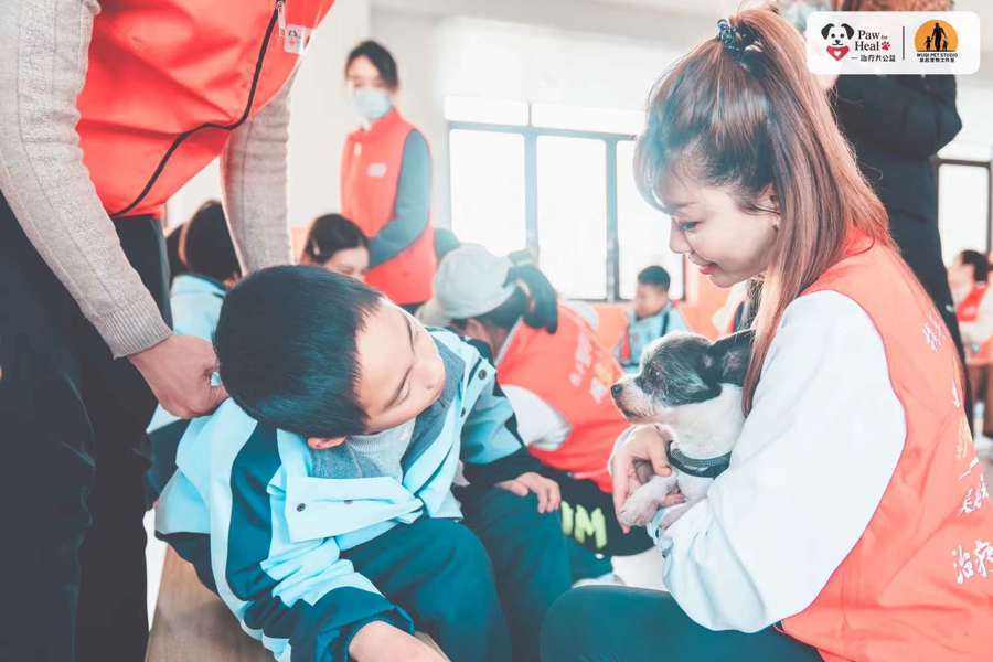 当一群志愿者，把心爱的宠物狗训练成“治疗犬”