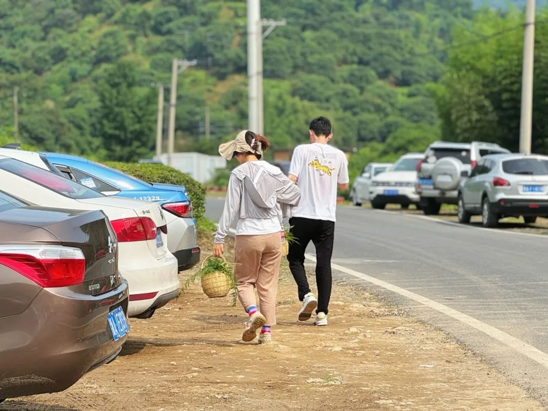 被深夜的杭州机场惊到！这批顶流水果太火了，国外卖到30元一颗！