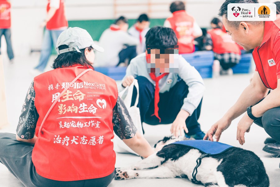 当一群志愿者，把心爱的宠物狗训练成“治疗犬”