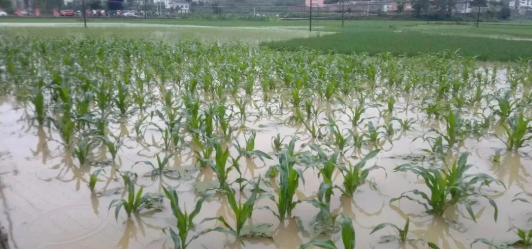 暴雨橙色预警!今天贵州局地有大到暴雨→ 暴雨橙色预警!今天贵州局地有大到暴雨→