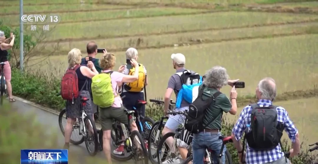 景区“长”满外国人！中国“City Walk”走起