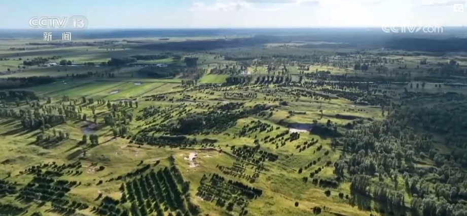 “靶向发力”精准“把脉”荒漠化治理 让“绿意”永久长存 “靶向发力”精准“把脉”荒漠化治理 让“绿意”永久长存