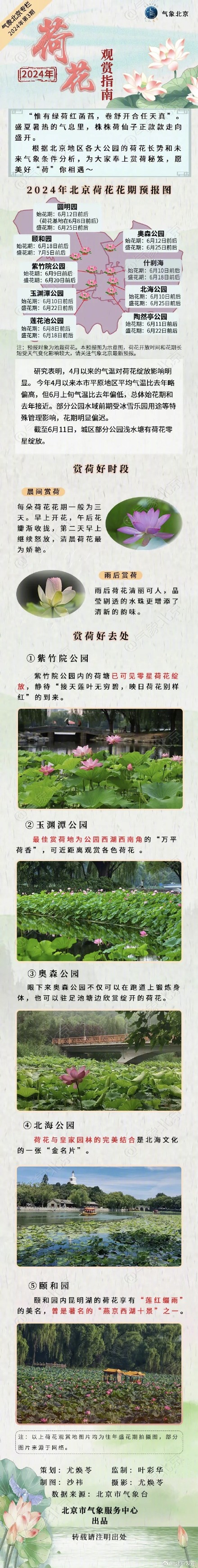 今夏去哪赏荷花？北京地区荷花观赏指南来了
