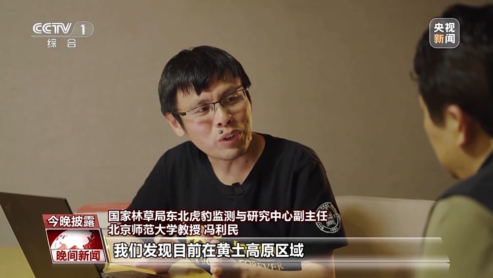 前方豹出没  近距离看华北地区最新豹种分布版图