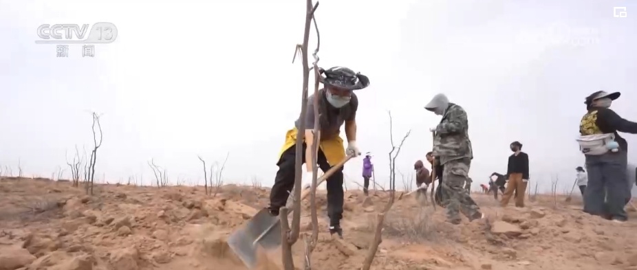 “靶向发力”精准“把脉”荒漠化治理 让“绿意”永久长存 “靶向发力”精准“把脉”荒漠化治理 让“绿意”永久长存