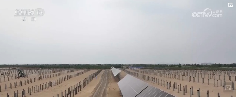 “靶向发力”精准“把脉”荒漠化治理 让“绿意”永久长存 “靶向发力”精准“把脉”荒漠化治理 让“绿意”永久长存