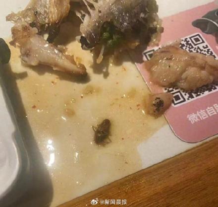 男子家中烹制蟑螂后在餐厅投放索赔