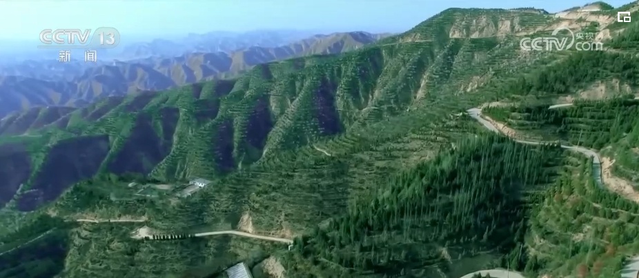 “靶向发力”精准“把脉”荒漠化治理 让“绿意”永久长存 “靶向发力”精准“把脉”荒漠化治理 让“绿意”永久长存