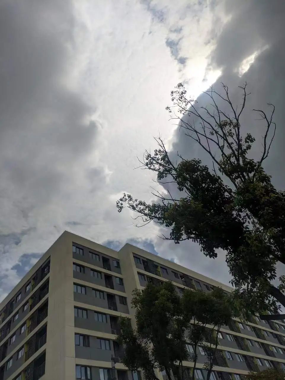 35℃高温+雷雨!厦门又将开启...... 35℃高温+雷雨!厦门又将开启......