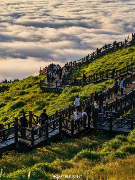 夏日仙境，尽在武功山！