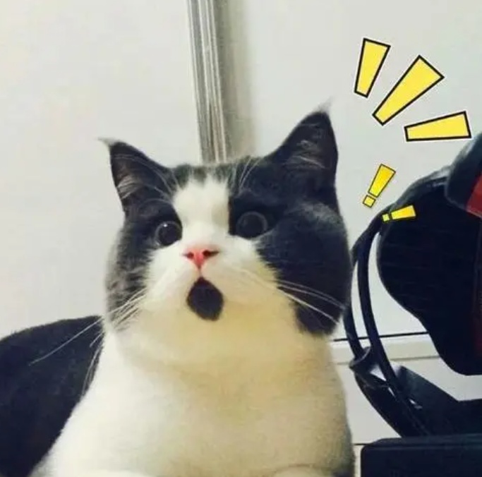 19日20日哈尔滨有中到大雨,局地暴雨天气 19日20日哈尔滨有中到大雨,局地暴雨天气