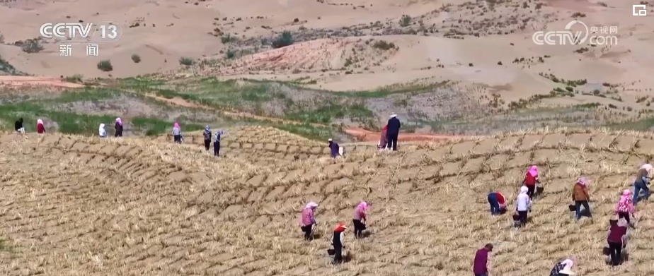 “靶向发力”精准“把脉”荒漠化治理 让“绿意”永久长存 “靶向发力”精准“把脉”荒漠化治理 让“绿意”永久长存