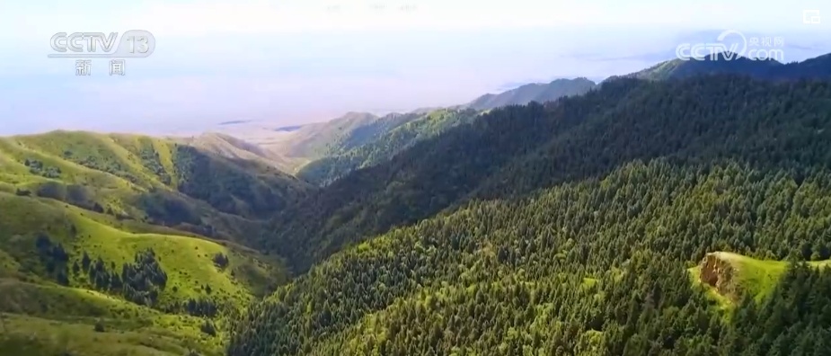 “靶向发力”精准“把脉”荒漠化治理 让“绿意”永久长存 “靶向发力”精准“把脉”荒漠化治理 让“绿意”永久长存