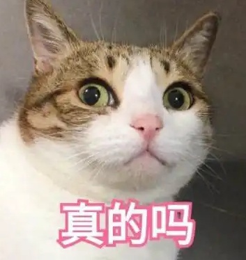 上海的黄梅天要来了？本周6个雨日排队中...