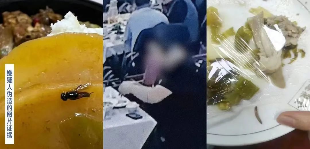 太恶心!男子为获得赔偿,竟在家中收集烹制蟑螂 太恶心!男子为获得赔偿,竟在家中收集烹制蟑螂