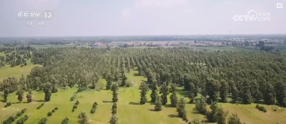 “靶向发力”精准“把脉”荒漠化治理 让“绿意”永久长存 “靶向发力”精准“把脉”荒漠化治理 让“绿意”永久长存