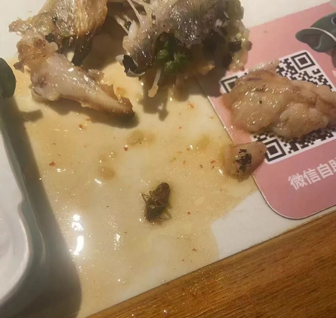 太恶心!男子为获得赔偿,竟在家中收集烹制蟑螂 太恶心!男子为获得赔偿,竟在家中收集烹制蟑螂