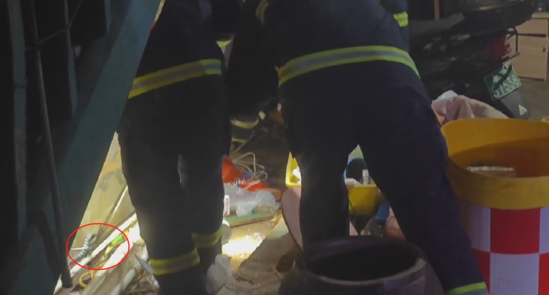 女子网购黑蛇,拆快递后瞬间崩溃拨打119…… 女子网购黑蛇,拆快递后瞬间崩溃拨打119……