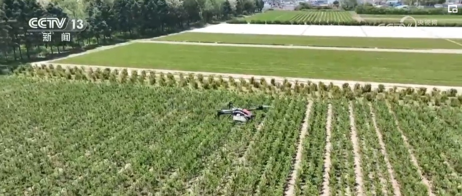 “靶向发力”精准“把脉”荒漠化治理 让“绿意”永久长存 “靶向发力”精准“把脉”荒漠化治理 让“绿意”永久长存