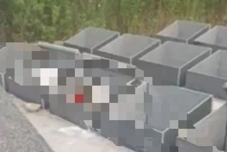 江苏南通如东县一公墓多个墓盖被打开,当地回应:系一名精神病患者所为 江苏南通如东县一公墓多个墓盖被打开,当地回应:系一名精神病患者所为
