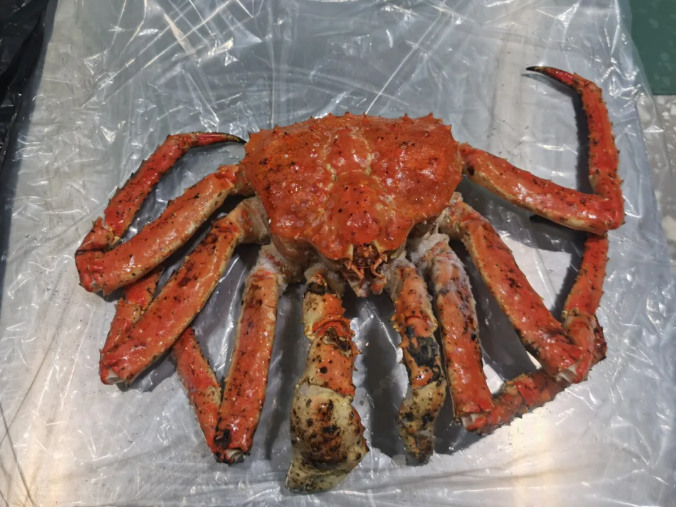 北京大兴机场海关查获一批海鲜 北京大兴机场海关查获一批海鲜