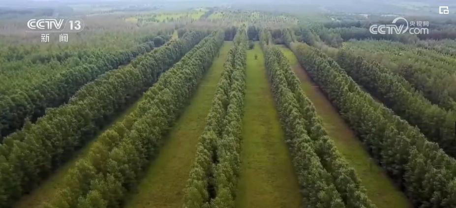 “靶向发力”精准“把脉”荒漠化治理 让“绿意”永久长存 “靶向发力”精准“把脉”荒漠化治理 让“绿意”永久长存