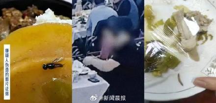 男子家中烹制蟑螂后在餐厅投放索赔