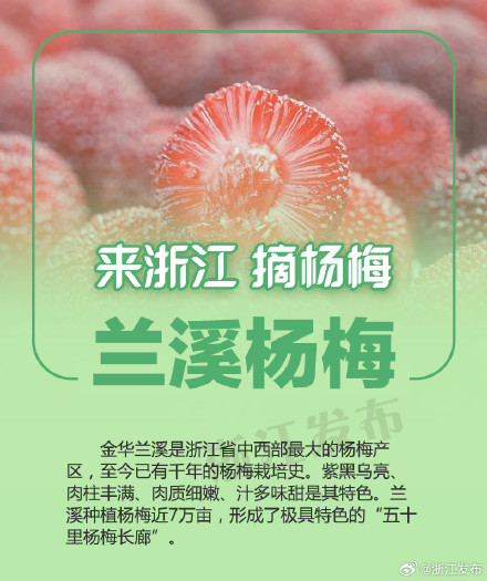 杨梅季，来浙江吃个够！