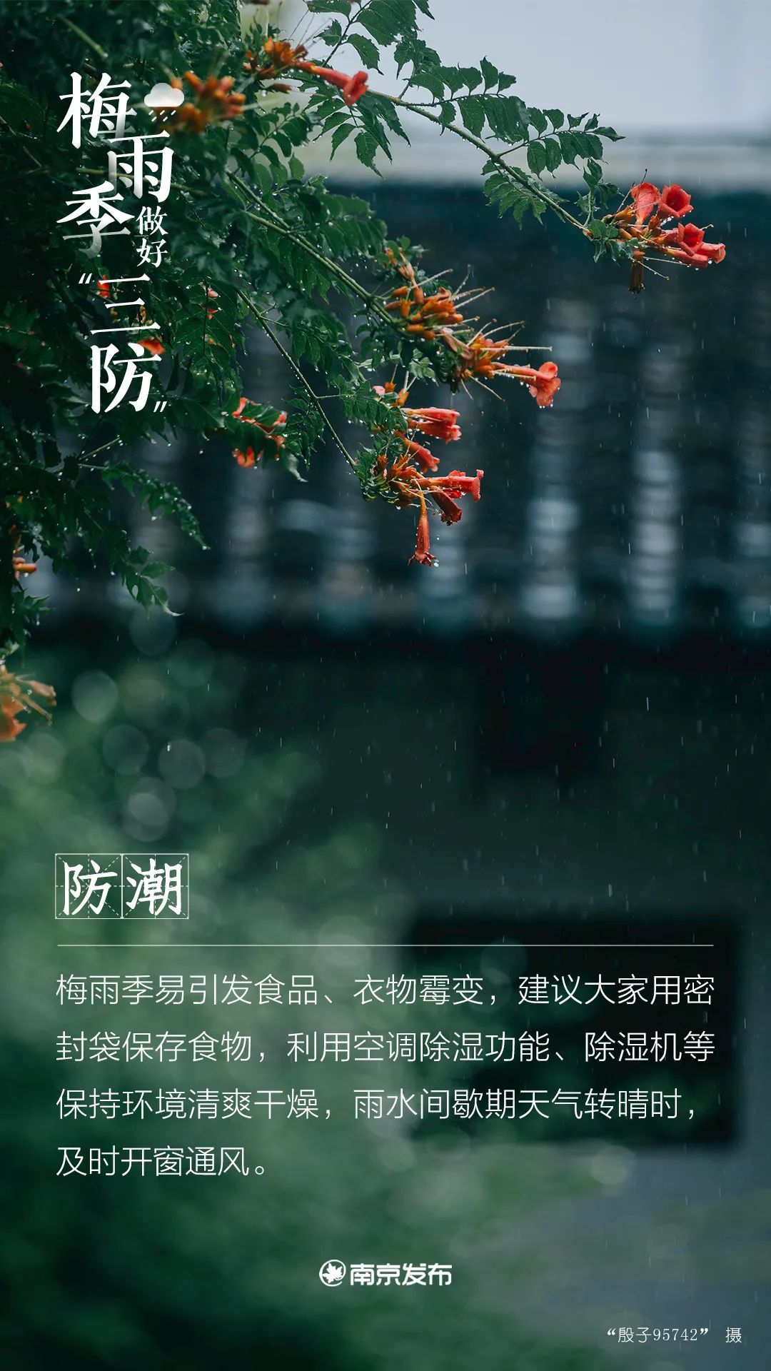 注意！梅雨季要来了！