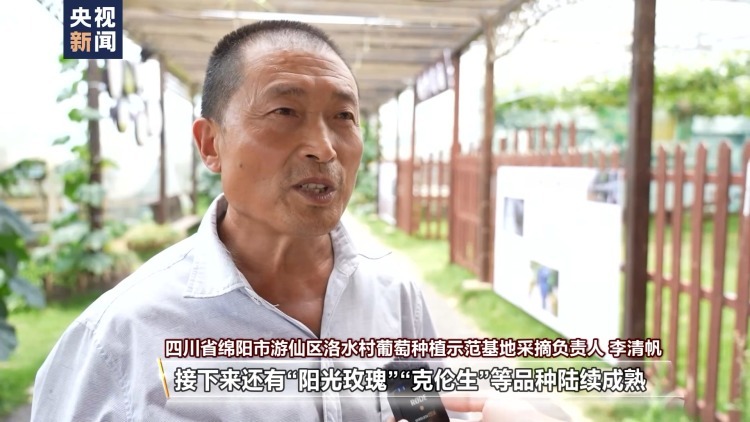 吃不过来了!这些时令水果陆续甜蜜上市 吃不过来了!这些时令水果陆续甜蜜上市