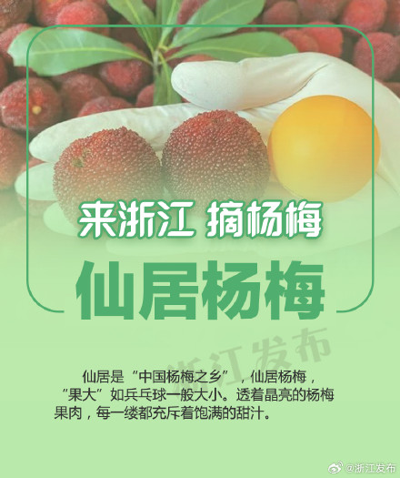 杨梅季，来浙江吃个够！