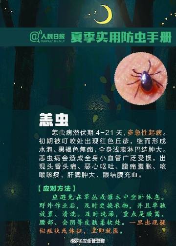 转发提醒！夏季防虫手册