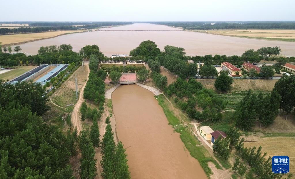 山东菏泽：加大引用黄河水量 积极抗旱保夏种