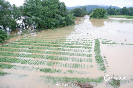 雨带北抬!未来两周长江中下游将现降雨集中期 这些地方需防旱涝急转 雨带北抬!未来两周长江中下游将现降雨集中期 这些地方需防旱涝急转