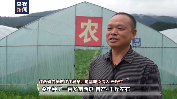 吃不过来了!这些时令水果陆续甜蜜上市 吃不过来了!这些时令水果陆续甜蜜上市