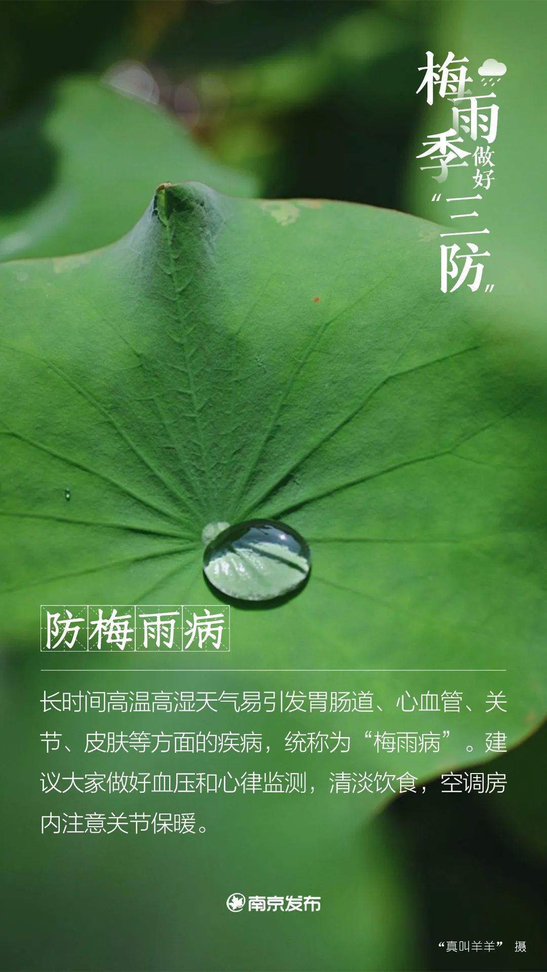 注意！梅雨季要来了！