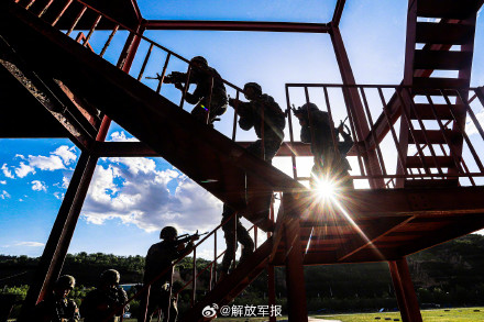 高燃！直击武警特战队员多课目训练现场