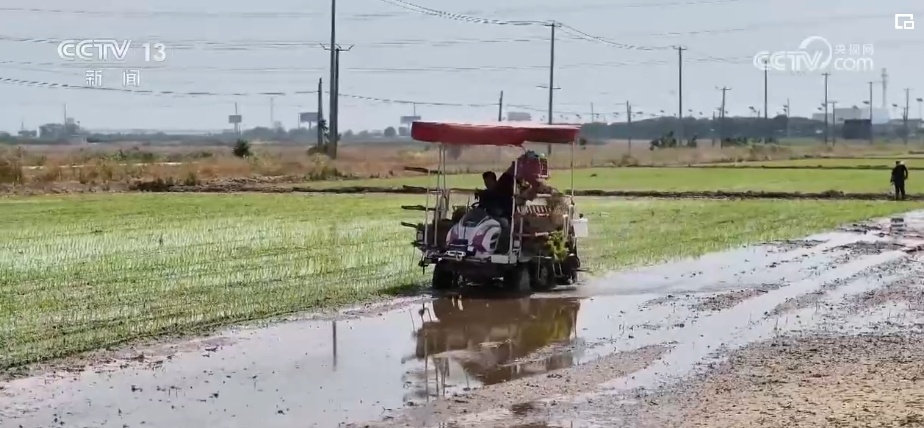 夏收、夏种绘就好“丰”景 “一年无闲田”筑牢粮食安全根基