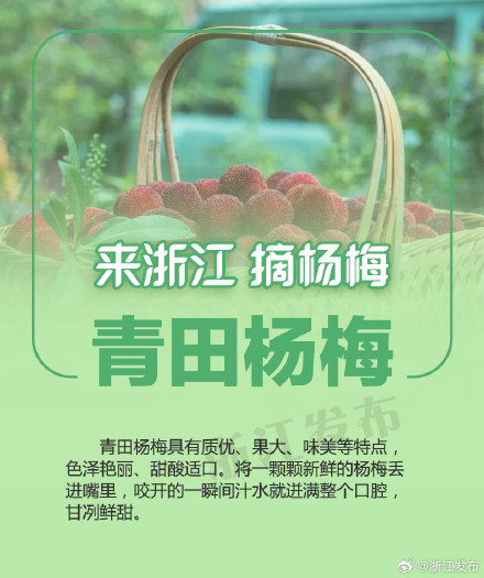杨梅季，来浙江吃个够！