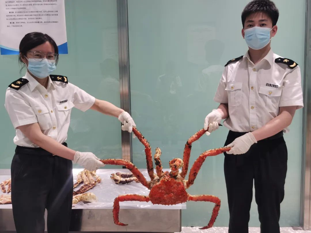 1只螃蟹，17条腿！