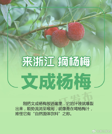 杨梅季，来浙江吃个够！