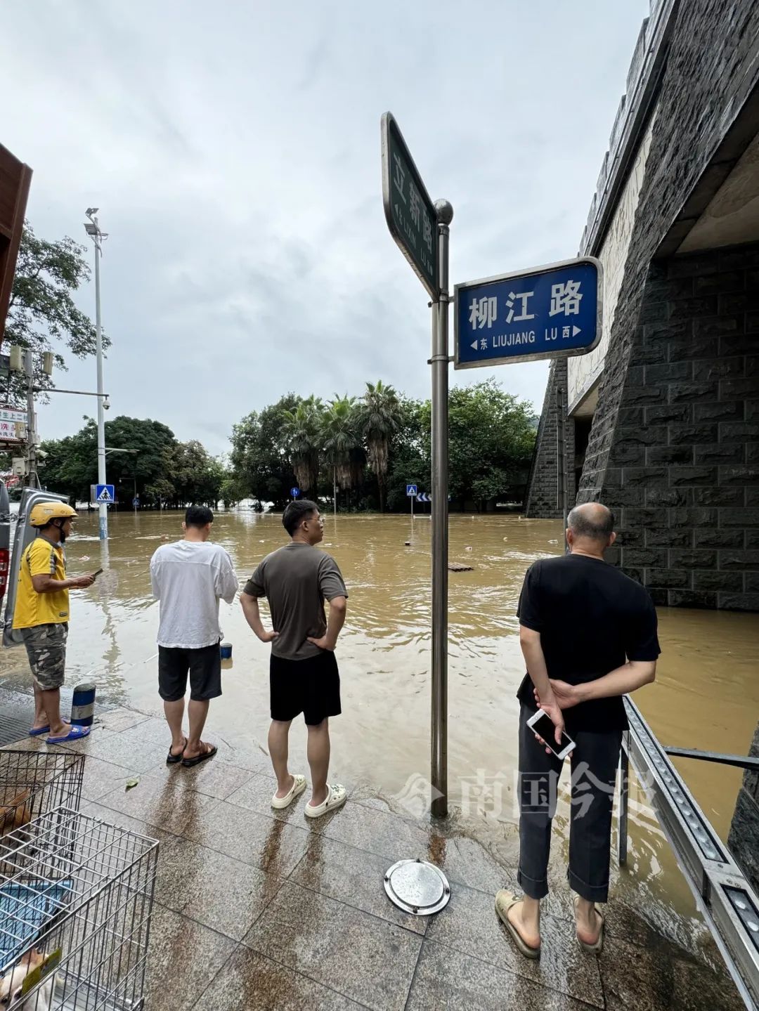 柳州今早出现82.52米洪水！河堤商户开始“搬家”，洪峰水位预计……