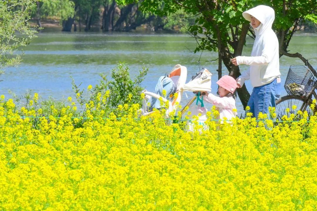 高温橙色预警！沈阳最高39℃！高温天气，警惕这种病，死亡率超50%！