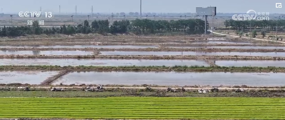 夏收、夏种绘就好“丰”景 “一年无闲田”筑牢粮食安全根基