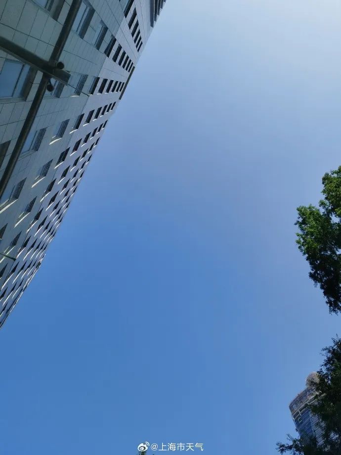 上海官宣！就在明天，开场就是大到暴雨！千万听劝→