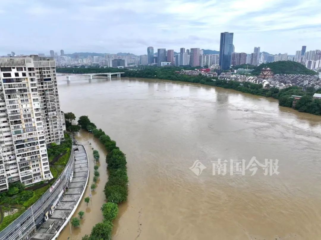 柳州今早出现82.52米洪水！河堤商户开始“搬家”，洪峰水位预计……