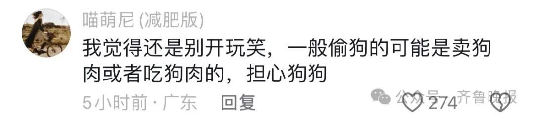 警犬被偷？派出所回应：是特警大队的！网友：你同事被偷了……
