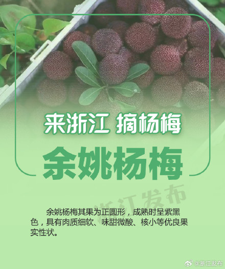 杨梅季，来浙江吃个够！