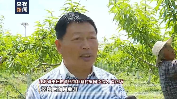 吃不过来了!这些时令水果陆续甜蜜上市 吃不过来了!这些时令水果陆续甜蜜上市