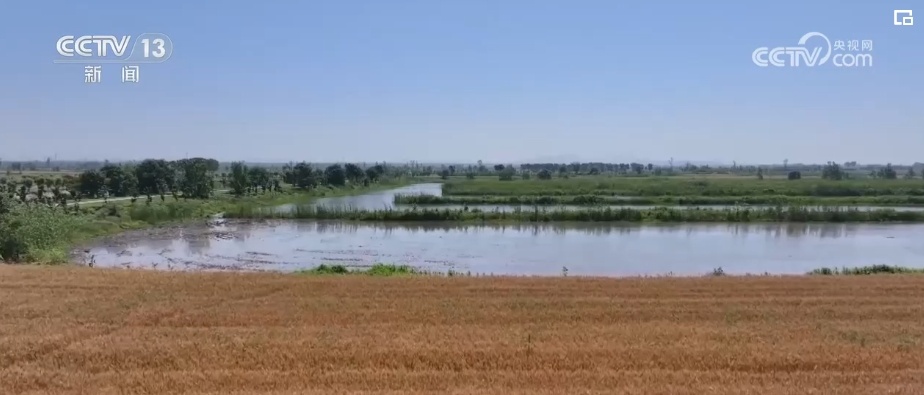 生态美让“老朋友”有了更多安乐窝 “极危”物种从“稀客”变“常客” 生态美让“老朋友”有了更多安乐窝 “极危”物种从“稀客”变“常客”